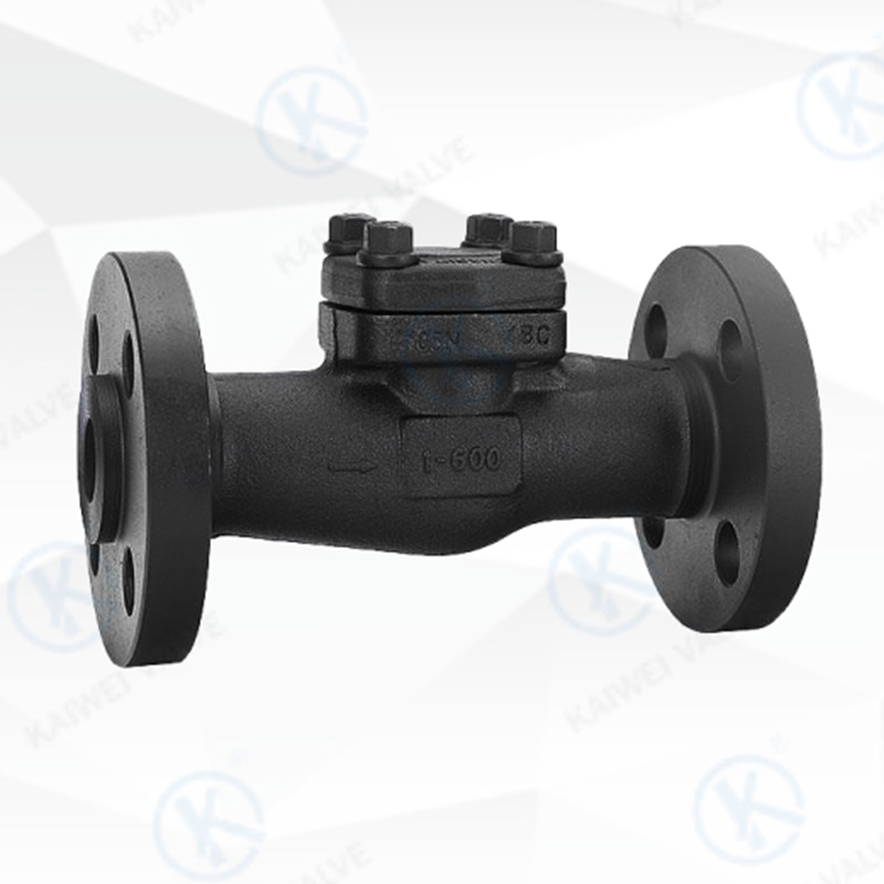 Small Forged Piston Check Valve